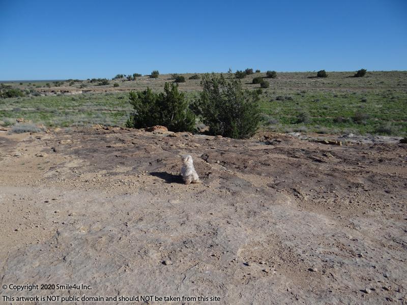 5 acres Winslow, AZ by Chevlon Canyon